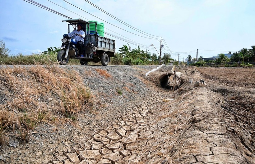 Hình ảnh khô hạn ở xã Gia Thuận (Gò Công Đông, Tiền Giang). Ảnh: VietNamNet
