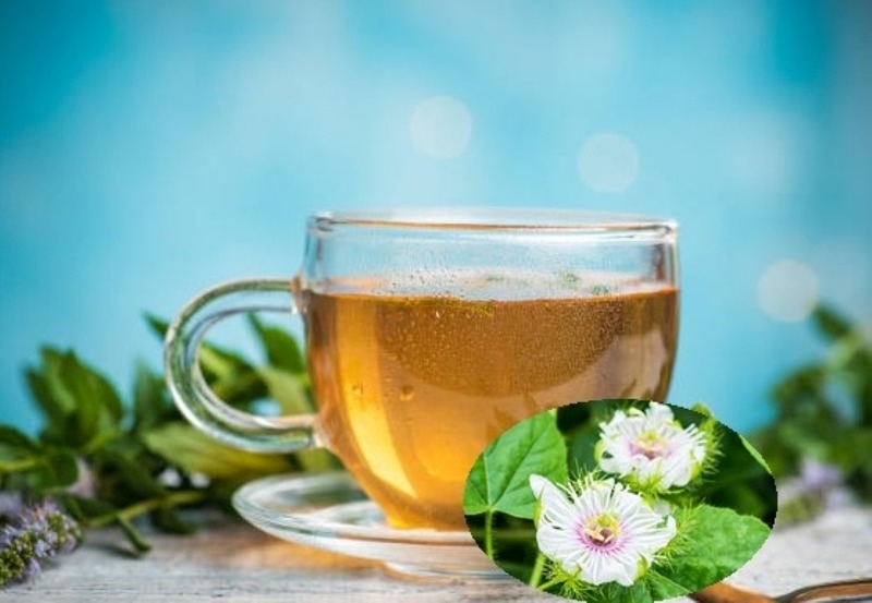 Cây lạc tiên được gọi là "thần dược" chưa mất ngủ