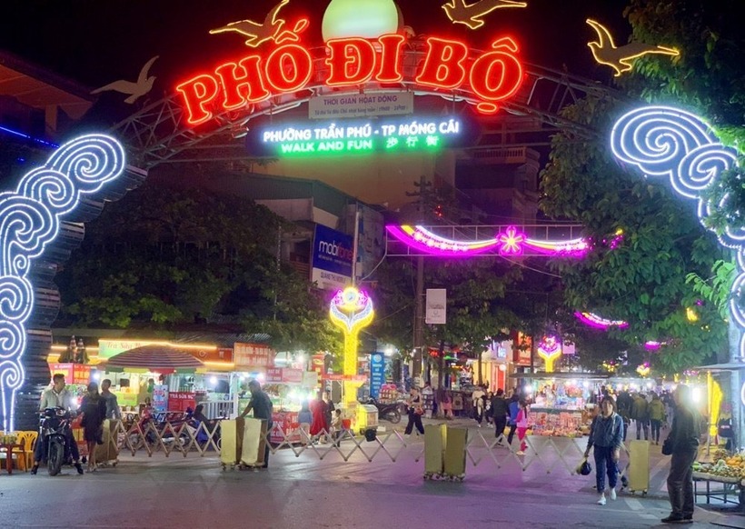Phố đi bộ. Ảnh: Internet