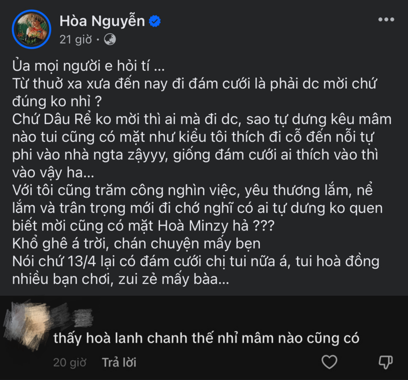 Bình luận kém duyên từ một netizen được Hòa Minzy chia sẻ.