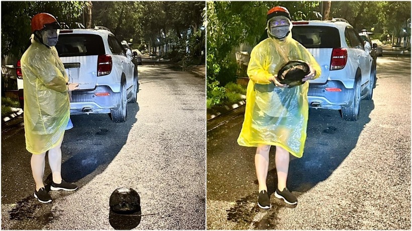 Tin thời sự nóng mới nhất ngày 10/4/2024: Thả rùa răng 8kg nhặt trên đường về tự nhiên