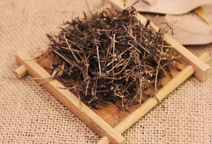 Bạch hoa xà cần được sử dụng theo chỉ định của bác sĩ