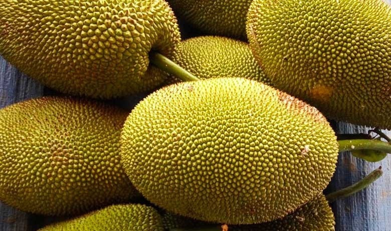 Mít chín cây có mùi thơm đặc trưng, ăn rất ngon và vừa miệng. Ảnh minh họa