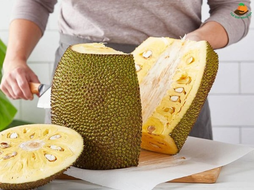 Nếu gai mít mềm thì mít đã chín. Ảnh minh họa