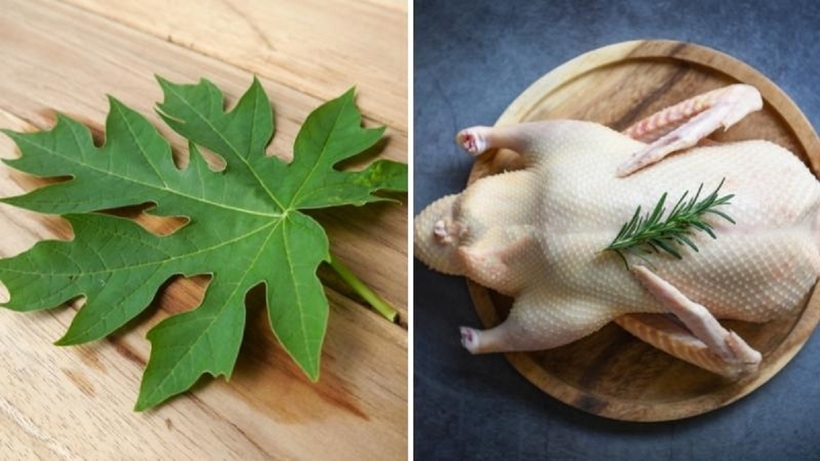 Lá đu đủ giúp dễ nhổ lông vịt hơn. Ảnh minh họa