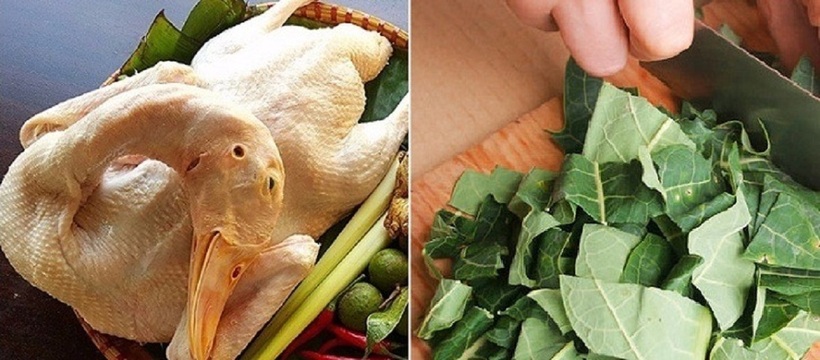 Không nên chọn những con vịt quá béo vì thịt sẽ bị bở và nhiều mỡ. Ảnh minh họa