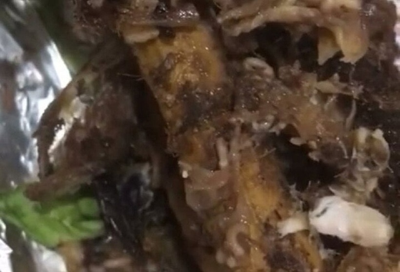 Hình ảnh dòi bò lúc nhúc trong món cá lóc nướng. Ảnh: VTC News