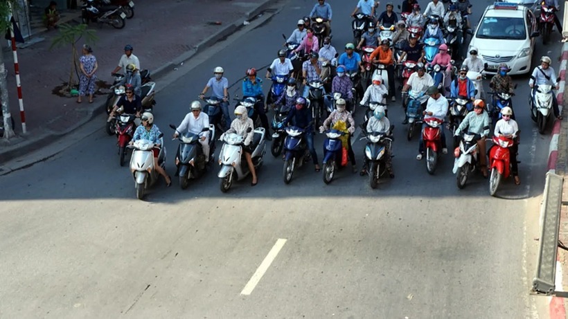 Dừng xe dưới bóng cây để chờ đèn hiệu giao thông có bị xử phạt?