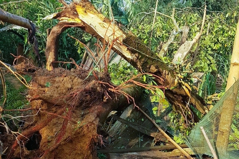 VietNamNet dẫn thông tin từ ông Thò Bá Rê, Phó Chủ tịch UBND huyện Kỳ Sơn (tỉnh Nghệ An) cho biết khoảng 16h ngày 13/4, trên địa bàn 2 xã Huồi Tụ và Mường Lống xảy ra mưa đá kèm theo lốc xoáy, khiến nhiều ngôi nhà bị tốc mái, cột điện bị đổ sập.