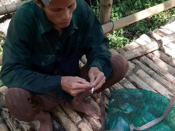 Một tay cò tặc và những xác chim rừng