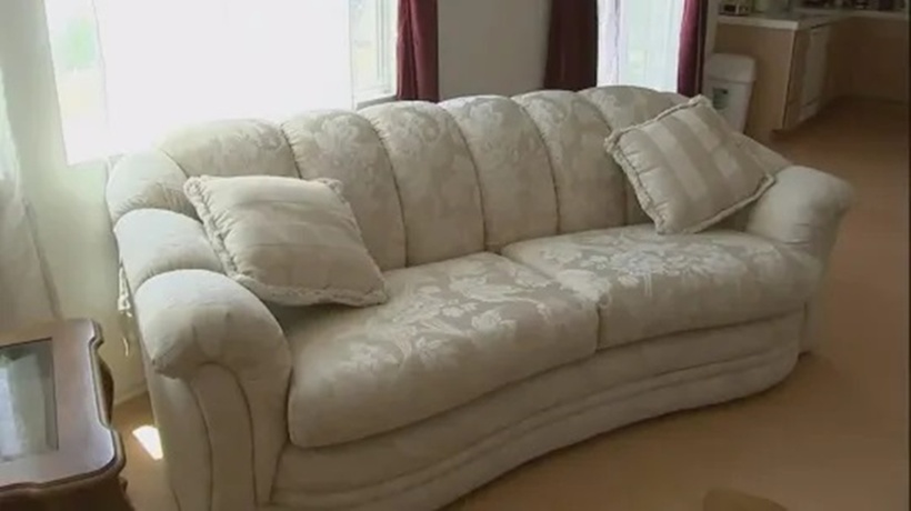 Xin ghế sofa miễn phí, người phụ nữ hốt hoảng khi phát hiện "kho báu" bên trong - 1