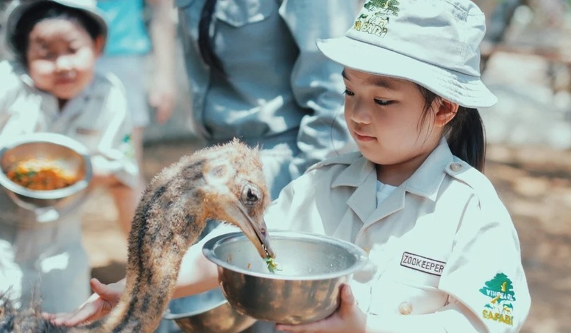 Các bạn nhỏ trải nghiệm chăm sóc các loài động vật ở Vinpearl Safari Phú Quốc