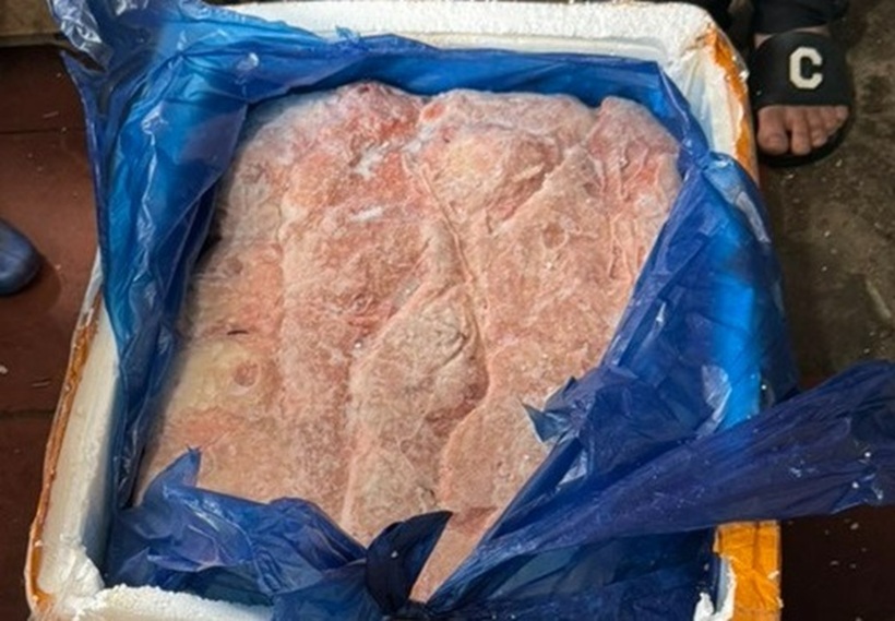 Tin thời sự nóng mới nhất ngày 20/4: Phát hiện hơn 2,5 tấn nầm lợn không rõ nguồn gốc