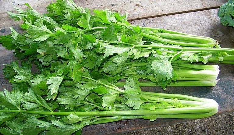 Nước ép cần tây là nguồn cung cấp nước tốt do hàm lượng nước cao, giúp bổ sung chất lỏng trong cơ thể. Ảnh minh họa