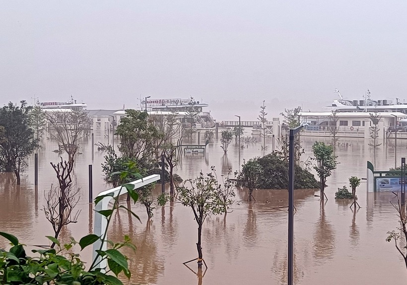 Theo Tân Hoa Xã, hơn 80 ngôi nhà bị sập hoặc hư hỏng nghiêm trọng, dẫn đến thiệt hại kinh tế trực tiếp gần 140 triệu NDT (tương đương 20 triệu NDT). Cơ quan các vấn đề trên biển Quảng Đông đã đưa ra phản ứng khẩn cấp và đình chỉ hoạt động trên biển ở vùng biển Bắc Giang và Đông Giang.