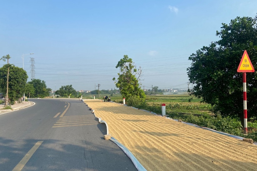 Người dân phơi thóc, gạo trên đường bị xử phạt như thế nào?
