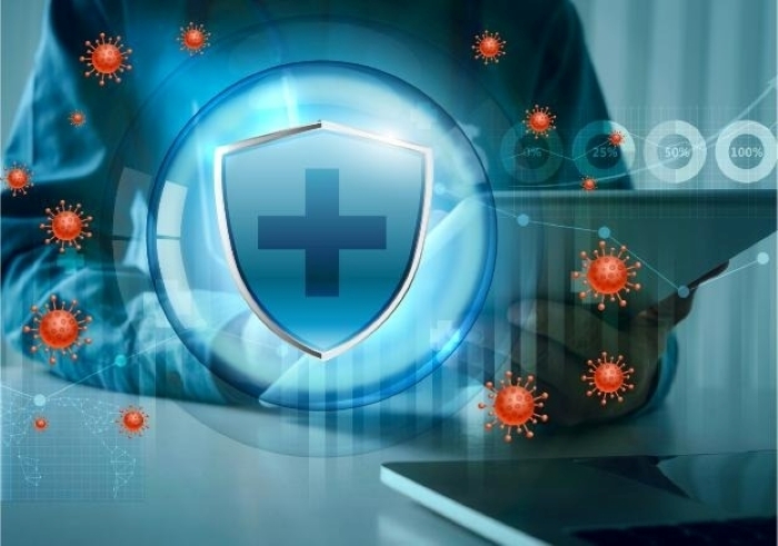 Cỏ ba lá đỏ giúp tăng cường hệ miễn dịch