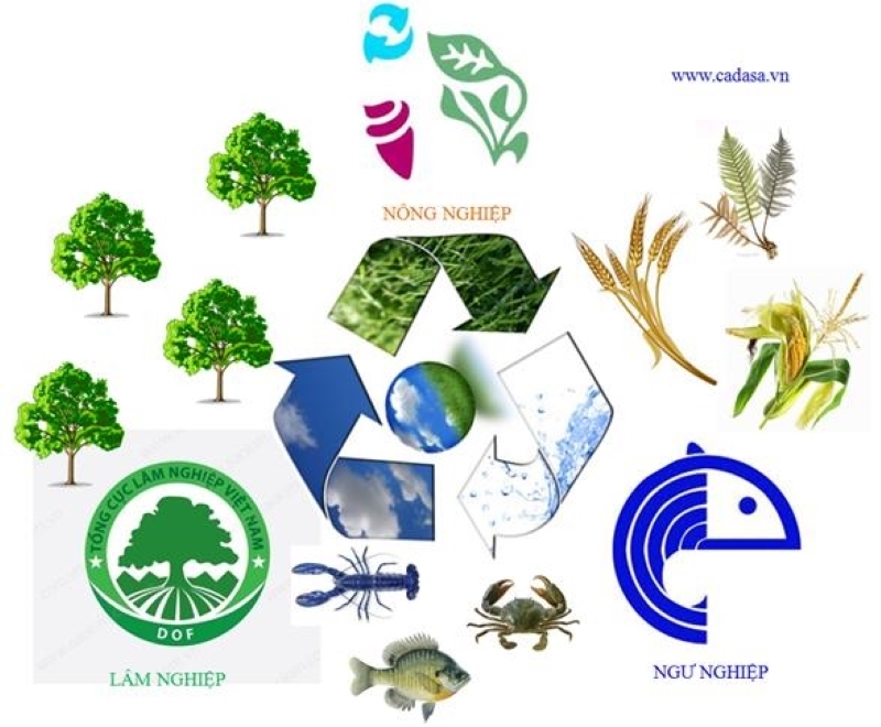 Nhóm ngành có cơ hội việc làm đa dạng.