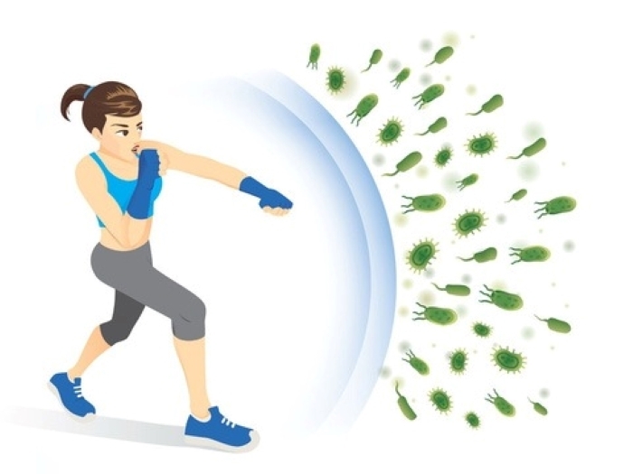 Nước quế cũng giúp cơ thế tăng cường miễn dịch