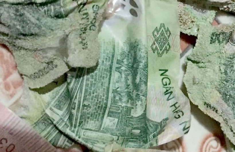 Tiền bị cháy có thể đem ra ngân hàng đổi mới, miễn là tiền đó còn đủ điều kiện nhận biết. Ảnh minh họa