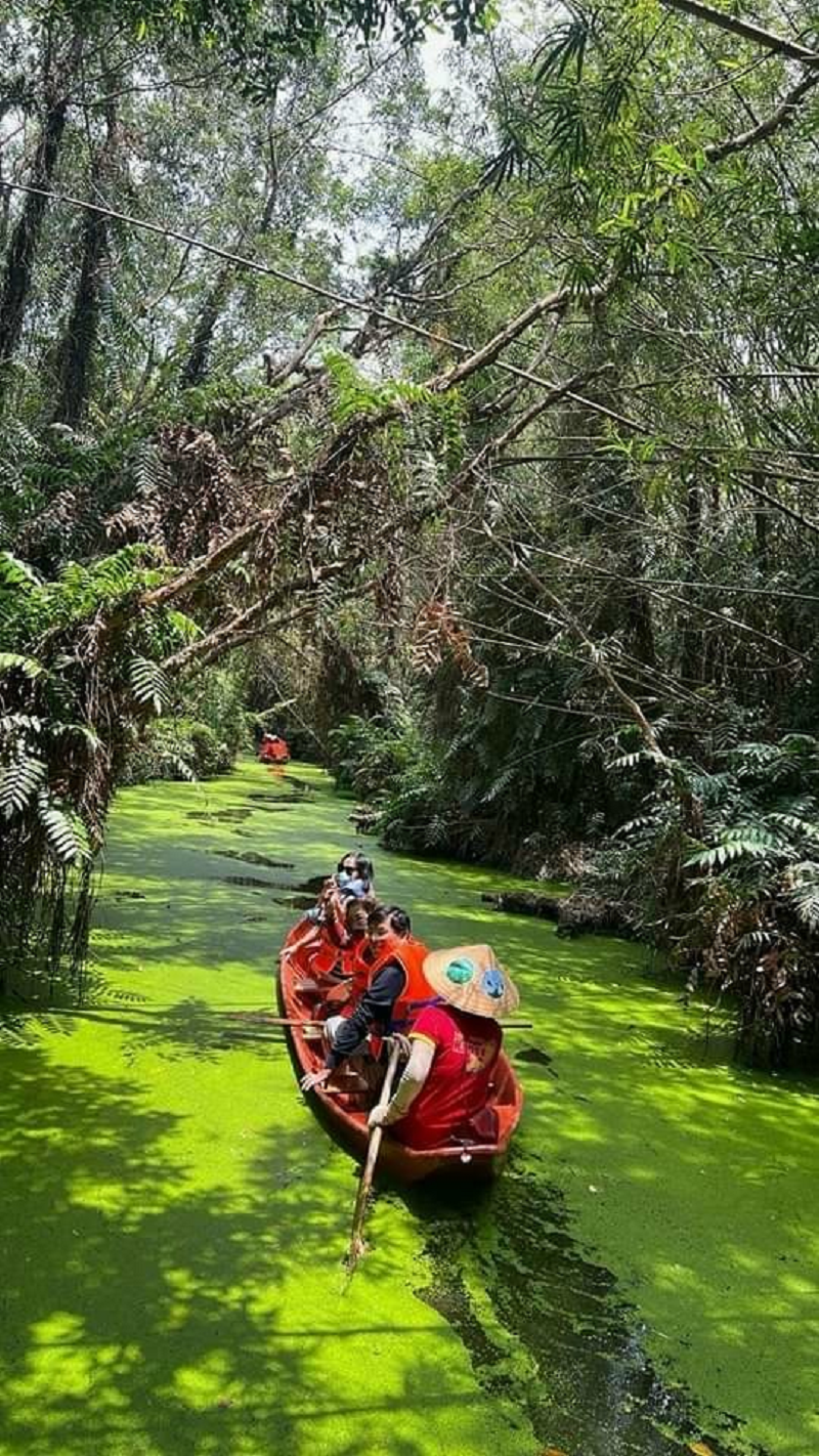 Những cung đường xanh mềm mại xuyên rừng tràm trong ĐTQ.KBTST Đồng Tháp Mười