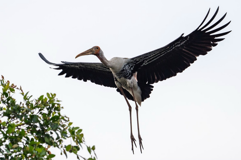 Tô điểm cho nét quyến rũ của thiên nhiên