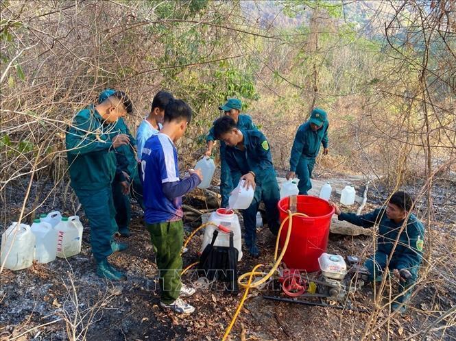 Các lực lượng tích cực tham gia chữa cháy rừng trên núi Cô Tô. (Ảnh: TTXVN)