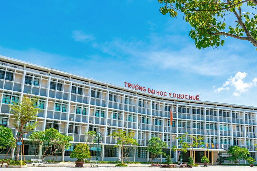 Đại học Y Dược (Đại học Huế)
