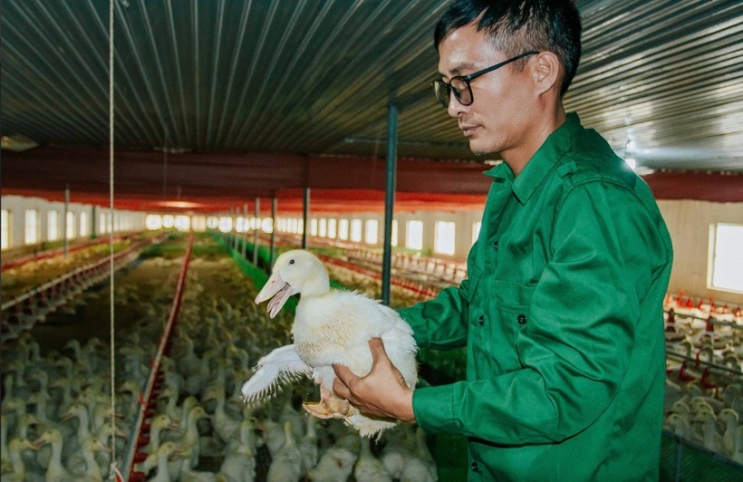 Anh Nam đã ứng dụng nhiều công nghệ hiện đại vào mô hình chăn nuôi. Ảnh: Thanh niên.