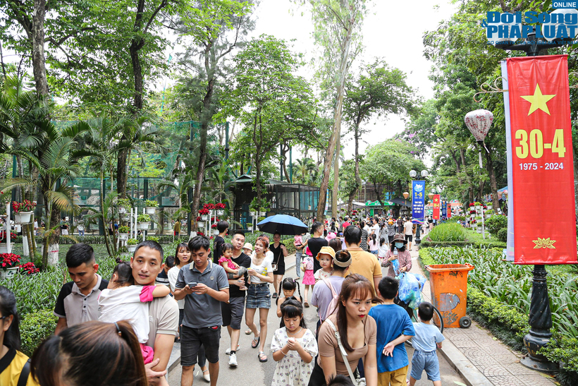 Đại diện Công ty TNHH một thành viên Vườn thú Hà Nội cho biết, tính từ ngày 27/4 đến hết 29/4, lượng khách đến với công viên Thủ Lệ là hơn 25.000 lượt.