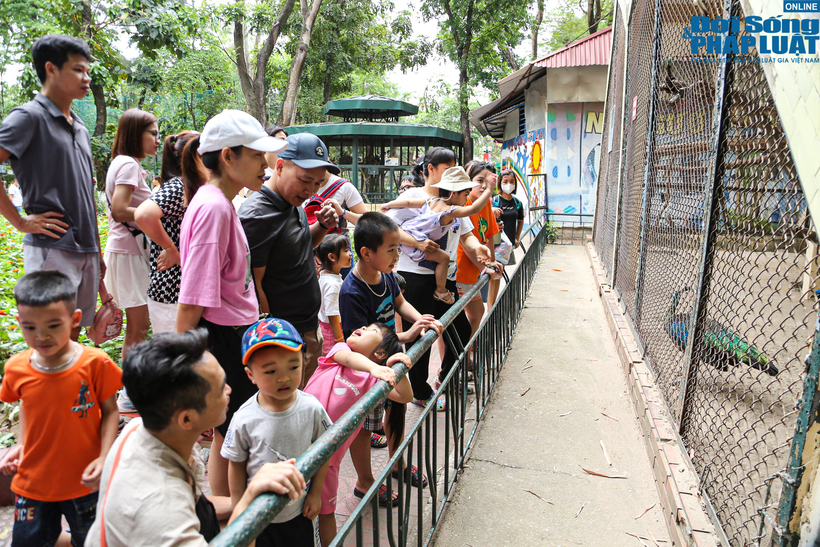 Các em nhỏ thích thú khi được bố mẹ đưa đến vui chơi tại Vườn thú Hà Nội.