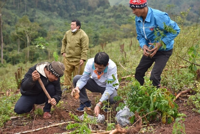 Người dân tại huyện Bố Trạch (Quảng Bình) vui mừng ươm những mầm cây tạo sinh kế lâu bền cho quê hương