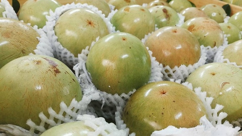 Loại quả quen thuộc với người Việt, có tác dụng hạ đường huyết, bơm máu hiệu quả.