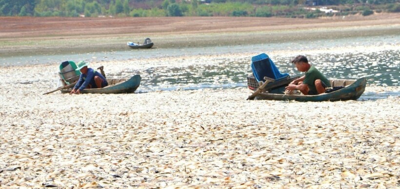 Được biết, hồ Sông Mây có diện tích hơn 300 ha, là hồ chứa nước tưới tiêu cho khu vực huyện Trảng Bom và huyện Vĩnh Cửu. Tỉnh Đồng Nai đã giao Bộ Chỉ huy quân sự tỉnh nuôi trồng thủy sản trên diện tích mặt nước.