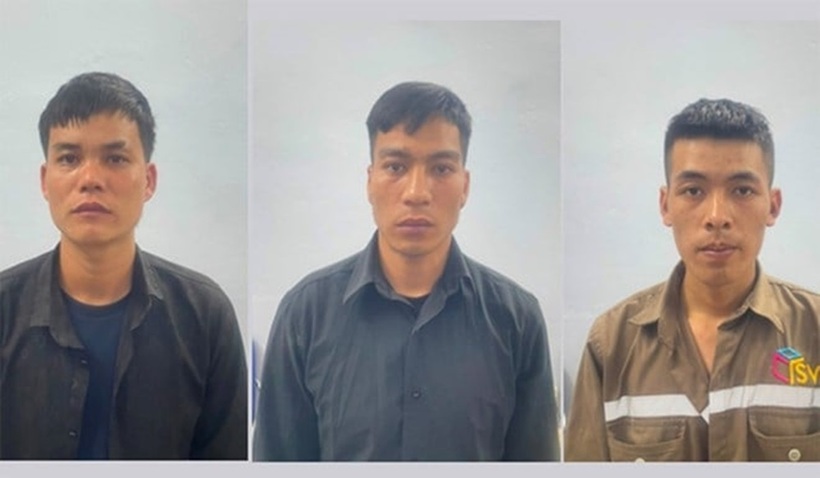 3 đối tượng bị khởi tố trong vụ trộm cắp dây cáp điện trong Khu du lịch quốc tế Đồi Rồng. Ảnh: Công an Hải Phòng