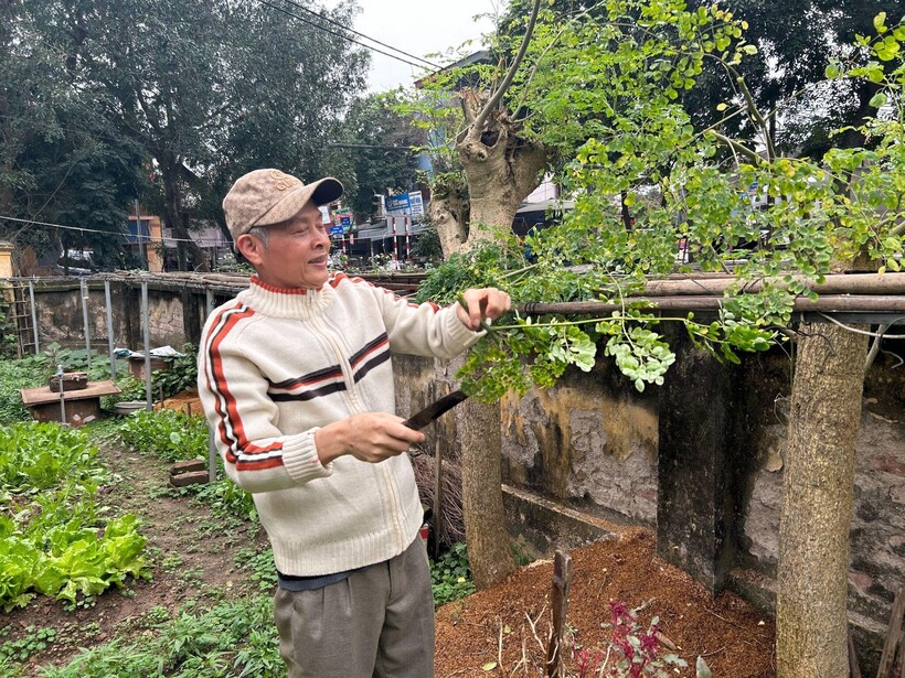 Từ ngày uống Ích Tâm Khang chú Hùng yêu đời hơn