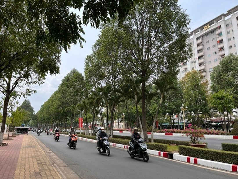 Hệ thống cây xanh tại TP.Biên Hòa. Ảnh: Người lao động