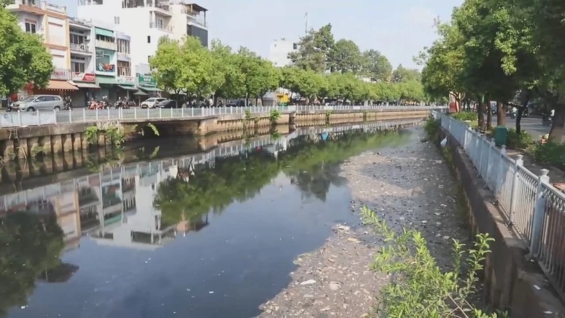 Cá chết nổi kèm với rác dọc kênh Nhiêu Lộc - Thị Nghè. (Ảnh: PLO)