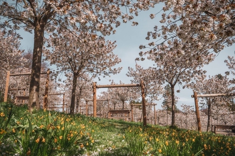 Nơi đây còn là một khu vườn phức hợp khổng lồ, với các vườn nhỏ kiểu hiện đại, đường vòm cây, đài phun nước lớn, vườn anh đào và nhà kính, cùng nhà hàng, quầy bar.