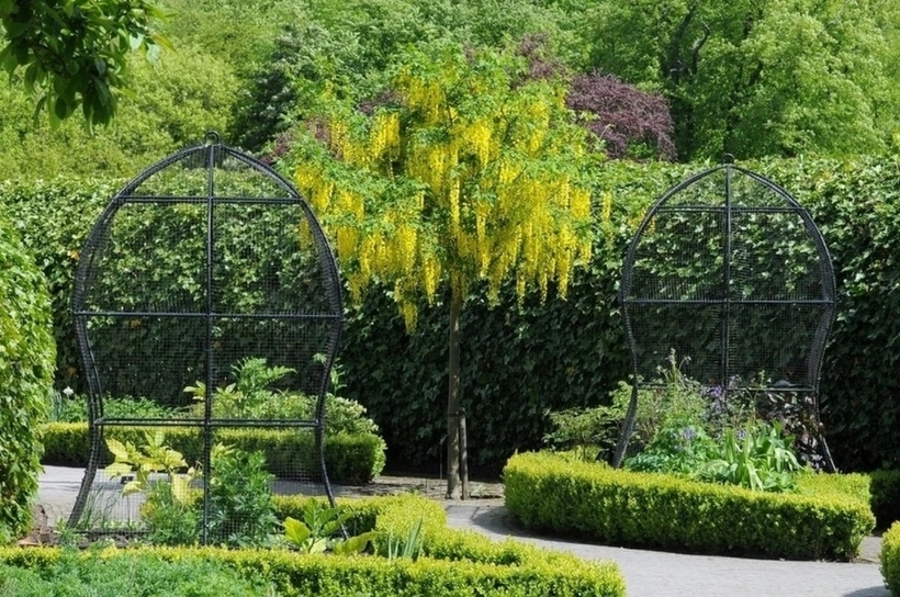 Theo đó, sau khi cùng gia đình chuyển đến sống trong lâu đài, chồng bà Percy muốn bà làm gì đó với những khu vườn. Thời điểm này, nơi đây mới chỉ là một khu lâm nghiệp thương mại bị bỏ hoang, chẳng có gì khác ngoài những hàng cây thông Noel.