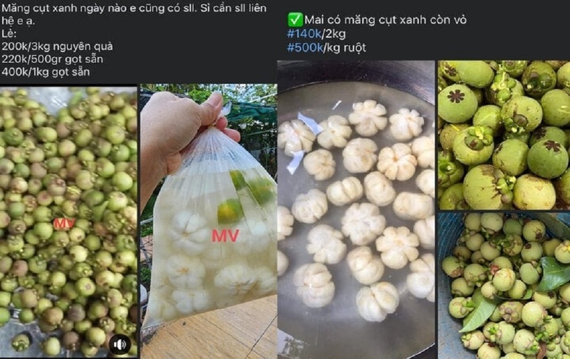 Măng cụt xanh gọt vỏ được rao bán với giá 400.000 - 500.000 đồng/kg. Ảnh: VTC News