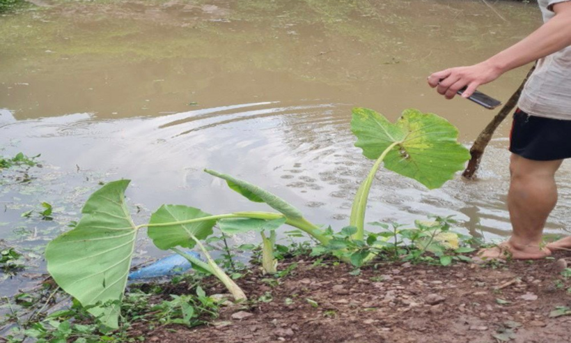 Khu vực 3 ông cháu gặp nạn.