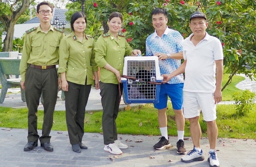 Người dân giao nộp cá thể vượn đen má hung quý hiếm cho lực lượng chức năng. Ảnh: Người lao động