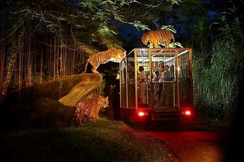 Vườn Thú Night Safari Singapore tại Singarpore.