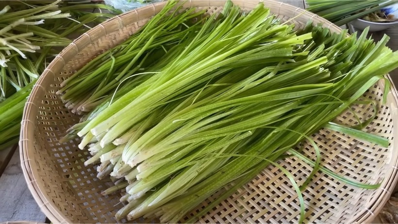Rau hẹ là loại rau gia vị rất phổ biến và là vị thuốc chữa bệnh rất hiệu quả. Ảnh minh họa