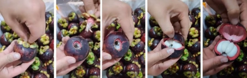 Bóc măng cụt phân cuống