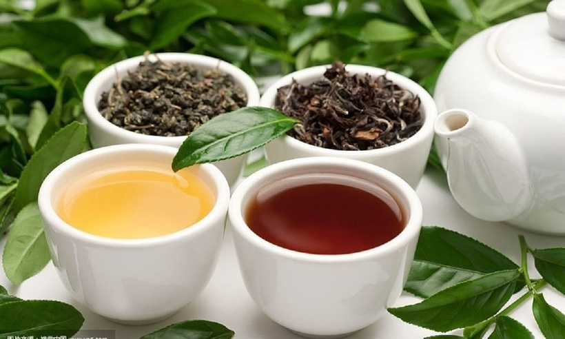Quan sát kỹ trà xem có dấu hiệu ẩm mốc, đổi màu lạ hoặc mùi khó chịu không.