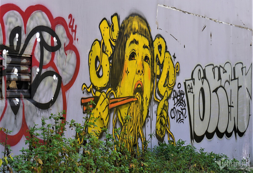 Những hình ảnh tường graffiti xuất hiện trên tường nhà, bờ rào, khu công cộng xuất hiện tràn lan ở TP Đà Nẵng khiến nhiều tuyến đường bị bôi bẩn, mất mỹ quan.