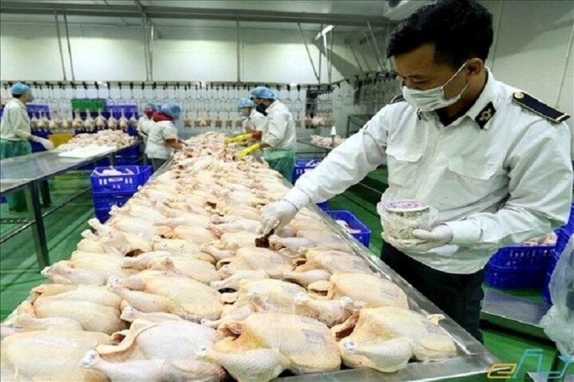 Việc mang thực phẩm vào Thái Lan yêu cầu có giấy chứng nhận vệ sinh an toàn thực phẩm và bị giới hạn về số lượng.
