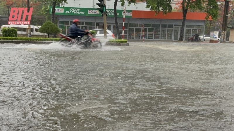 Hầu khắp các tuyến phố bị ngập cục bộ. Điển hình như Ngã tư Bưu điện, đường Tô Vĩnh Diện, đường Phan Chu Trinh, đại lộ Lê Lợi... nước ngập khoảng 30 - 40 cm.